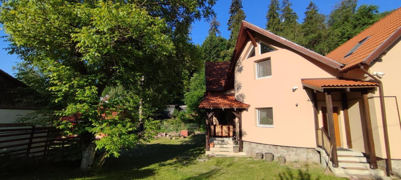 Hotel Olt-Part Vendeghaz BaileTusnad Exteriér fotografie