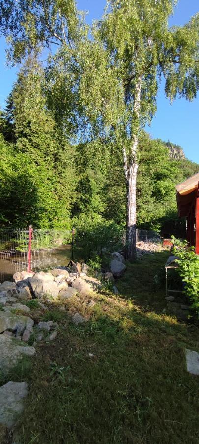 Hotel Olt-Part Vendeghaz BaileTusnad Exteriér fotografie